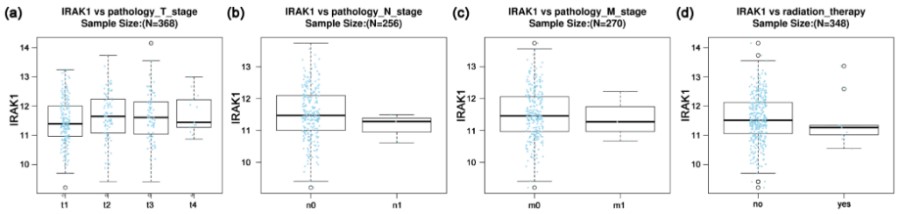 Variation of IRAK1 expression and overall survival.jpg